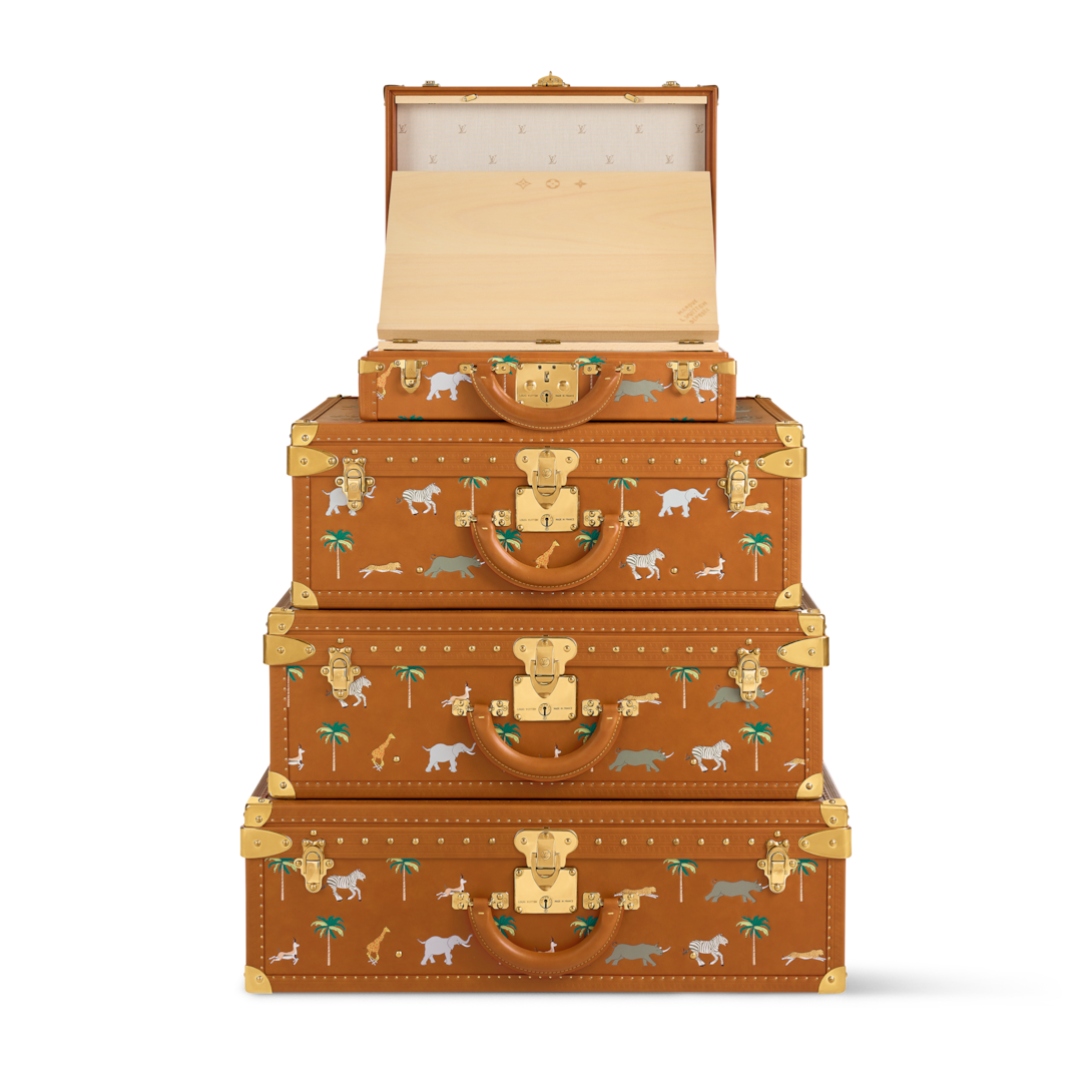 LV x Darjeeling Limited Pyramide Alzer President Other Leathers
